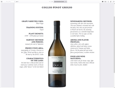 images/Weine/th/th_colleduga_pinot-grigio-2022.png